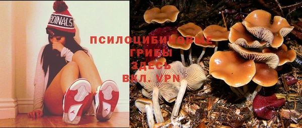 mdpv Балахна